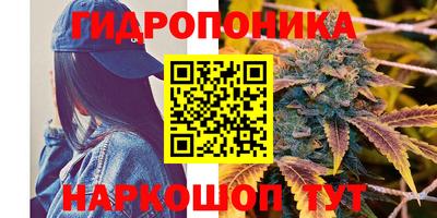 скорость Новокубанск