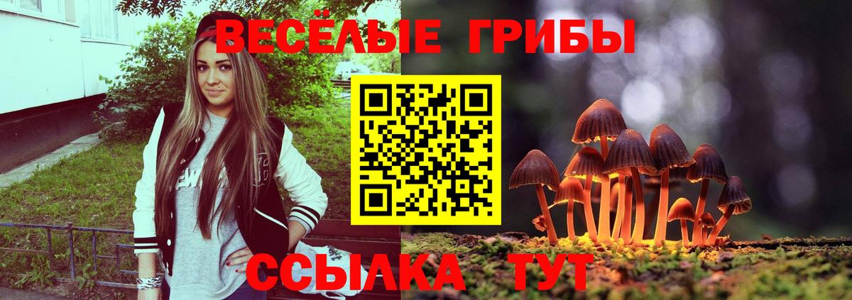 Воткинск  Псилоцибиновые грибы Psilocybe  Галлюциногенные грибы мицелий  Вход с VPN 